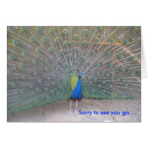 Peacock - Farewell Card