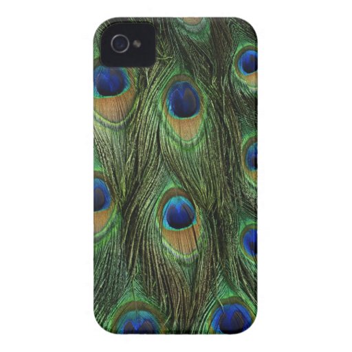 Peacock Feather Case Cover iPhone 4 Covers