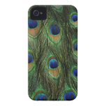 Peacock Feather Case Cover iPhone 4 Case-Mate Case