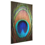 Peacock Feather Detail Decor Art Gallery Wrapped Canvas