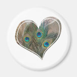 Peacock Feather Double Heart Refrigerator Magnet