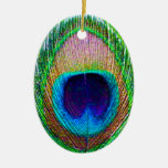Peacock Feather Photo Christmas Ornament ornaments
