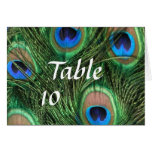 Peacock Feather Table Numbers Cards