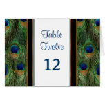 Peacock Feather Wedding - Table Seating Number Card