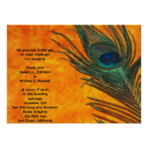 Peacock Feather with Orange Wedding Custom Announcements