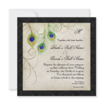 Peacock Feathers Black Damask Wedding Stationery Announcements