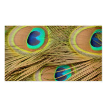 Peacock Feathers Business Card