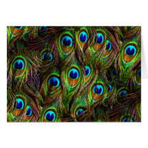 Peacock Feathers Invasion Greeting Cards