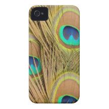 Peacock Feathers iPhone 4 Cover