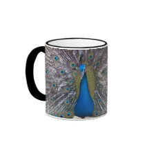 Peacock Feathers Mug