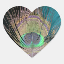 Peacock Feathers on black and turquoise Sticker