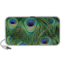 Peacock feathers - Speakers