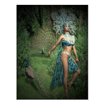Peacock Garden Postcard