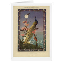Peacock in the Moonlight Greeting Card