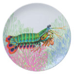 Peacock Mantis Shrimp Reef Animal Plate