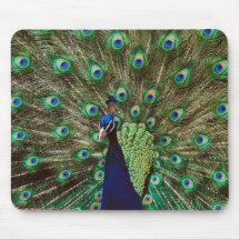 Peacock Mousepads