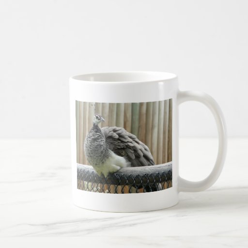 peacock mug