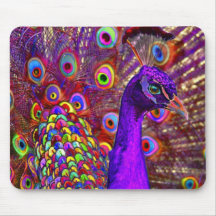 Peacock of a million colours mouse mats