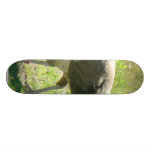 Peacock On Grass Skate Board
