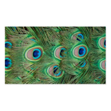 Peacock plumage business card templates
