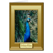 Pëacock plummage greeting card