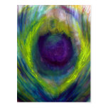 Peacock Postcard
