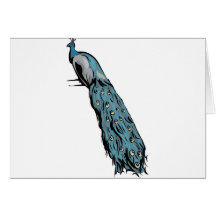 peacock rainbow cards