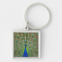 Peacock showing its feathers, as part of a keychains
