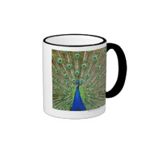 Peacock showing its feathers, as part of a mugs