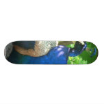 Peacock Skate Board