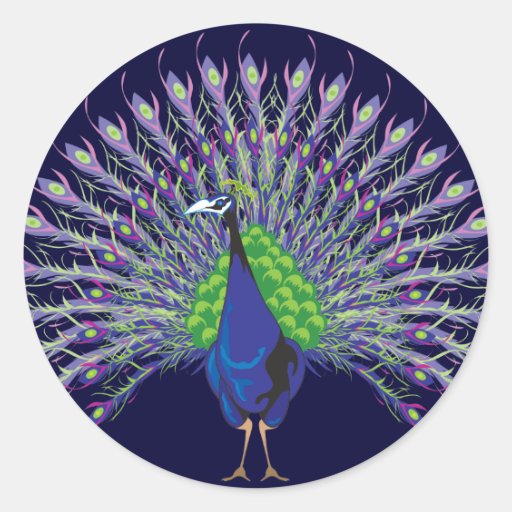 Peacock Stickers