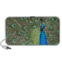 Peacock Strut iPhone Speakers