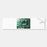 peacock tail bumper sticker