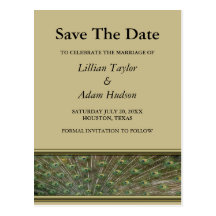Peacock Wedding Save The Date Postcard