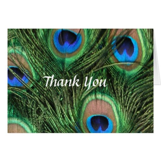 Peacock Wedding Thank You Card