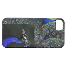 Peacocks iPhone 5 iPhone 5 Case