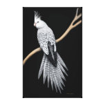 Pearl Pied Cockatiel Parrot Wrapped Canvas Canvas Print