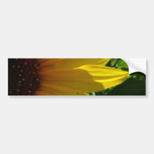 peek-a-boo bumper sticker