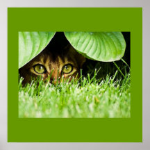 Peek-a-boo Poster