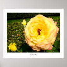 Peer Gynt Rose Poster