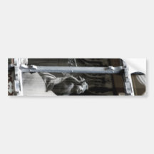 Peering Out Bumper Stickers