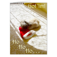 Pekingese Christmas Greeting Card