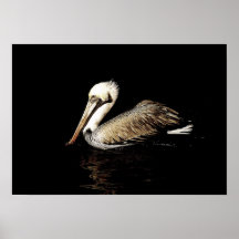 Pelican 1 print