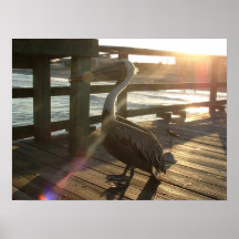 Pelican and Pal Print
