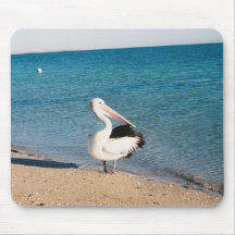 Pelican At Monkey Mia, Western Australia. Mouse Pads