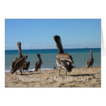 Pelican Beach Bums; Customisable Greeting Card