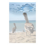 Pelican Beach Bums Stationery