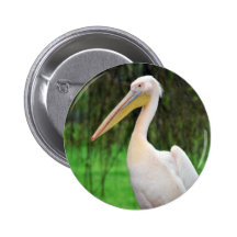 Pelican Beauty Pins