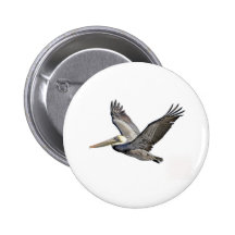 Pelican Clear Buttons