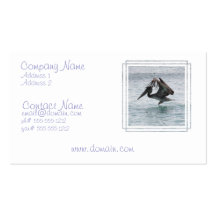 Pelican Landing Business Cards
